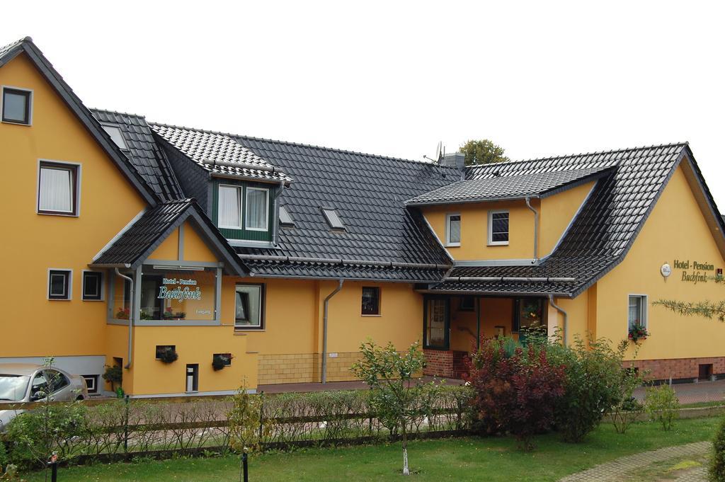 Pension Buchfink Uckeritz Exterior photo