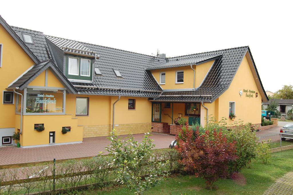 Pension Buchfink Uckeritz Exterior photo